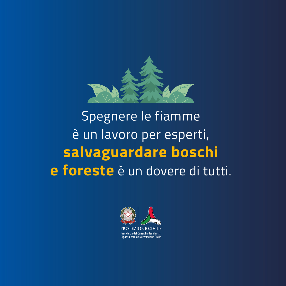 Dipartimento Protezione Civile tweet media