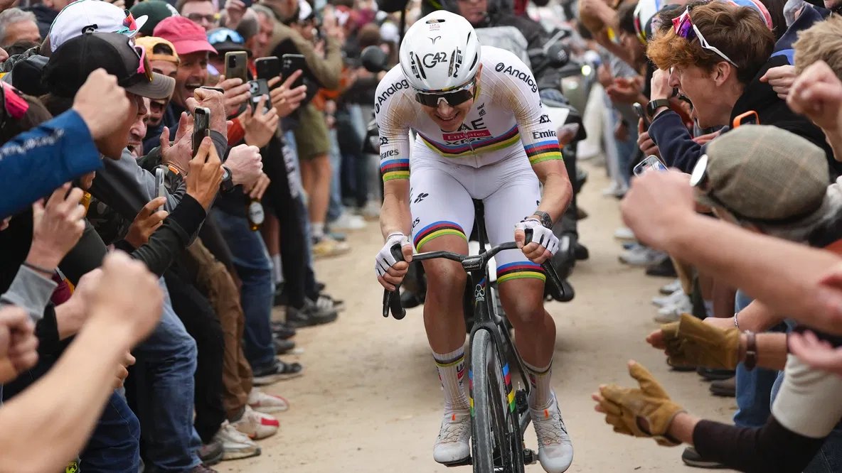 Domestique tweet media