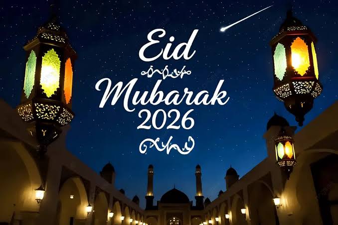 Lagreenitude 🔻 tweet media