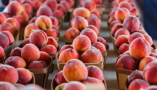 Union de Uniones tweet media