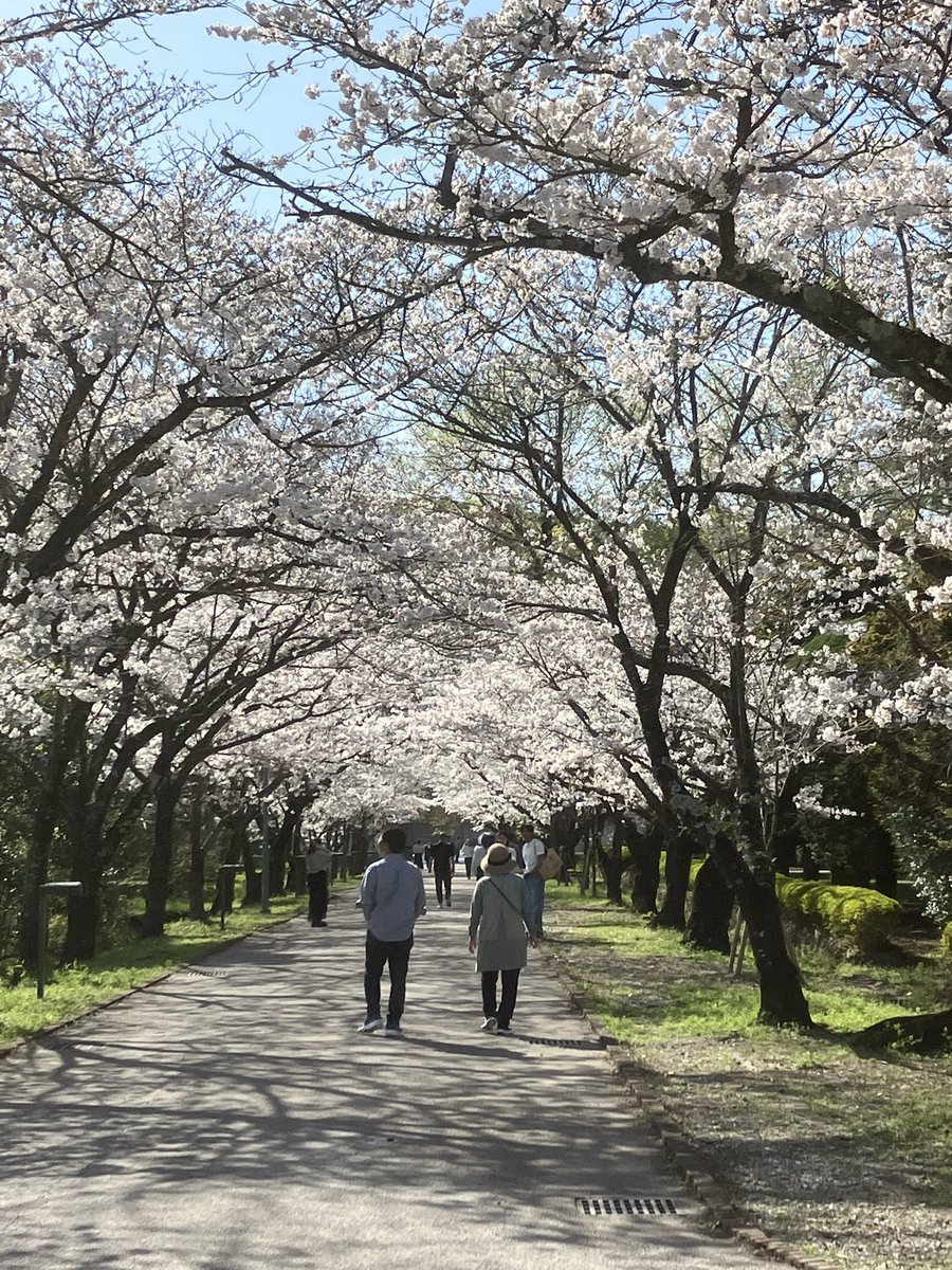 oimasaka's tweet photo. 今年はいつ頃かな https://t.co/OqDSjq7U3Y