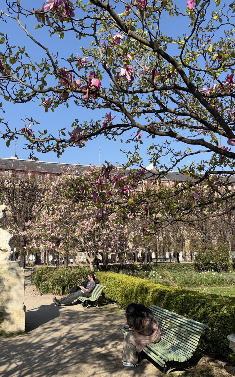 優雅なる闇の中共に踊ろう tweet media