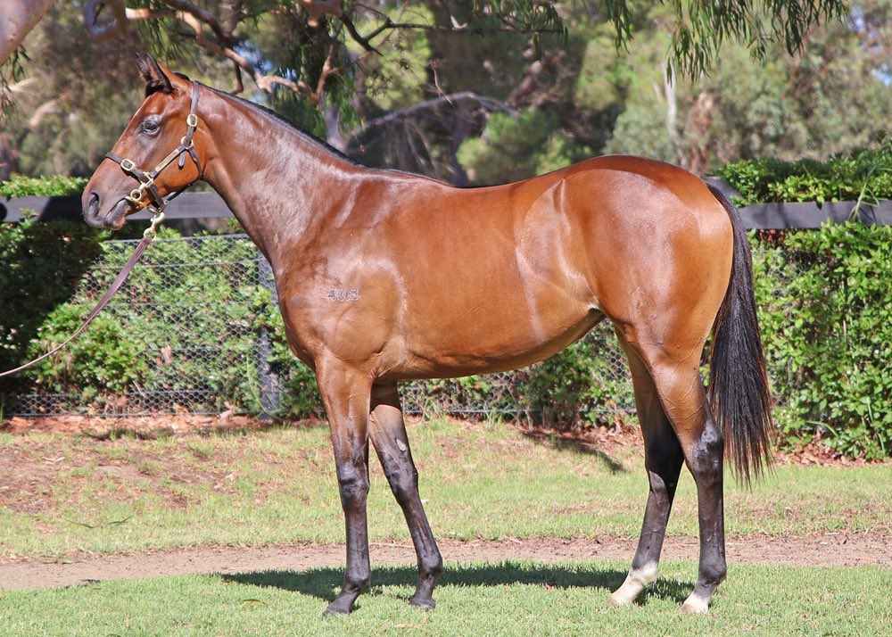 Tzaferis Racing tweet media