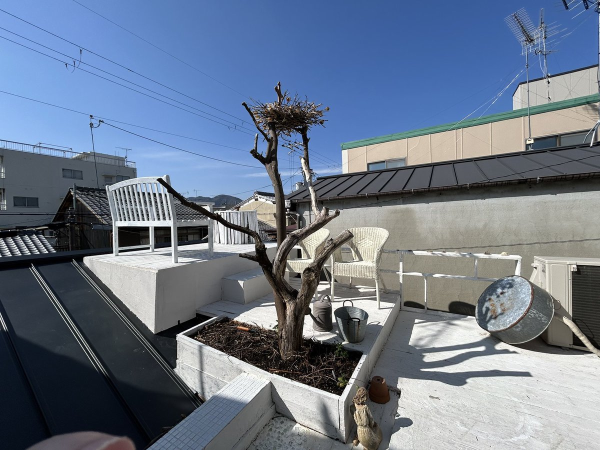 松田茉莉　さざなみぶんがく文フリ京都B47〜48 tweet media