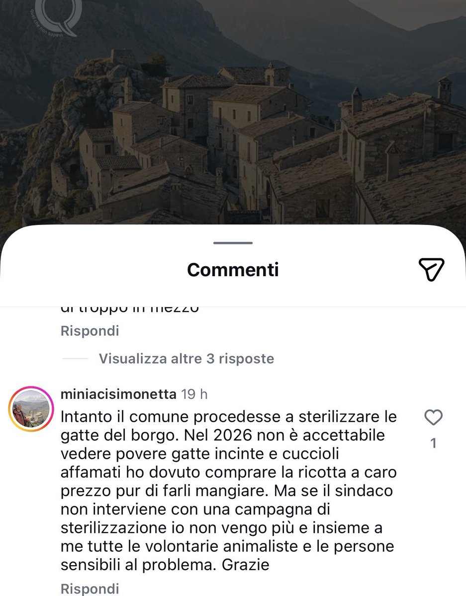 economico culturale o gattale? 🐱