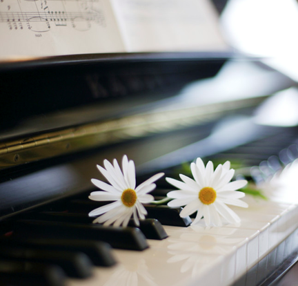 iShowTunes's tweet photo. 🌸 Happy First Day of Spring !!! 🌸
#FirstDayOfSpring #1stDayOfSpring #Spring
#HappySpring #SpringEquinox #Piano #Music https://t.co/NfYUabmKW9