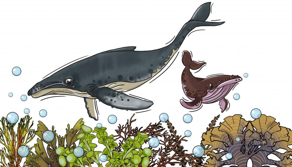 CSEINDIA tweet media