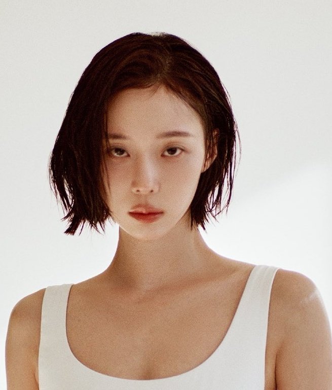 el 🐶🦊 tweet media