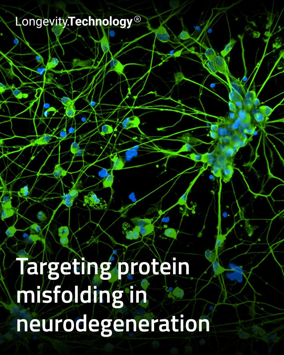 Longevity Technology tweet media