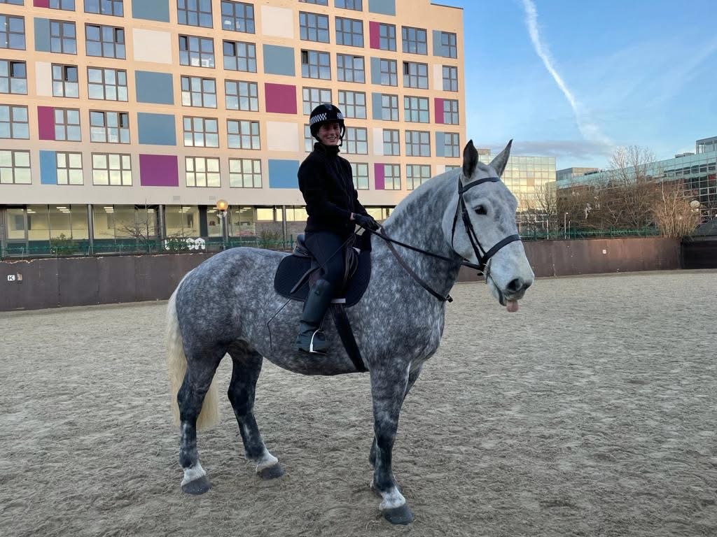 TVP Mounted Section tweet media