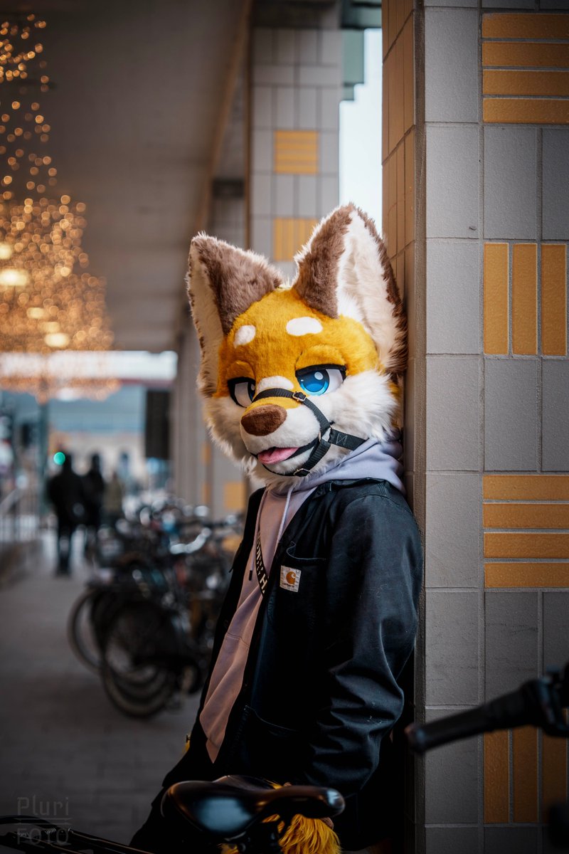 Ecli 🔜 FWA & EF tweet media