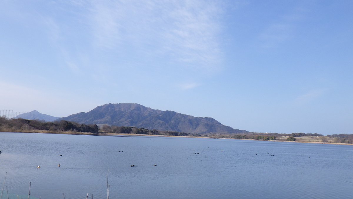 satokata_sakata's tweet photo. 新潟県水鳥湖沼ネットワーク の調査より
ハクチョウ飛来数は
３月20日　   20羽

移動途中と思われるハクチョウは
飛立っていきました。
今日は「春分（しゅんぶん）」。
昼と夜の長さがほぼ等しくなる日。
「自然をたたえ、生物をいつくしむ日」
という意味も。
肌寒くても春は来ています。

#佐潟 https://t.co/trWYHNlwvB