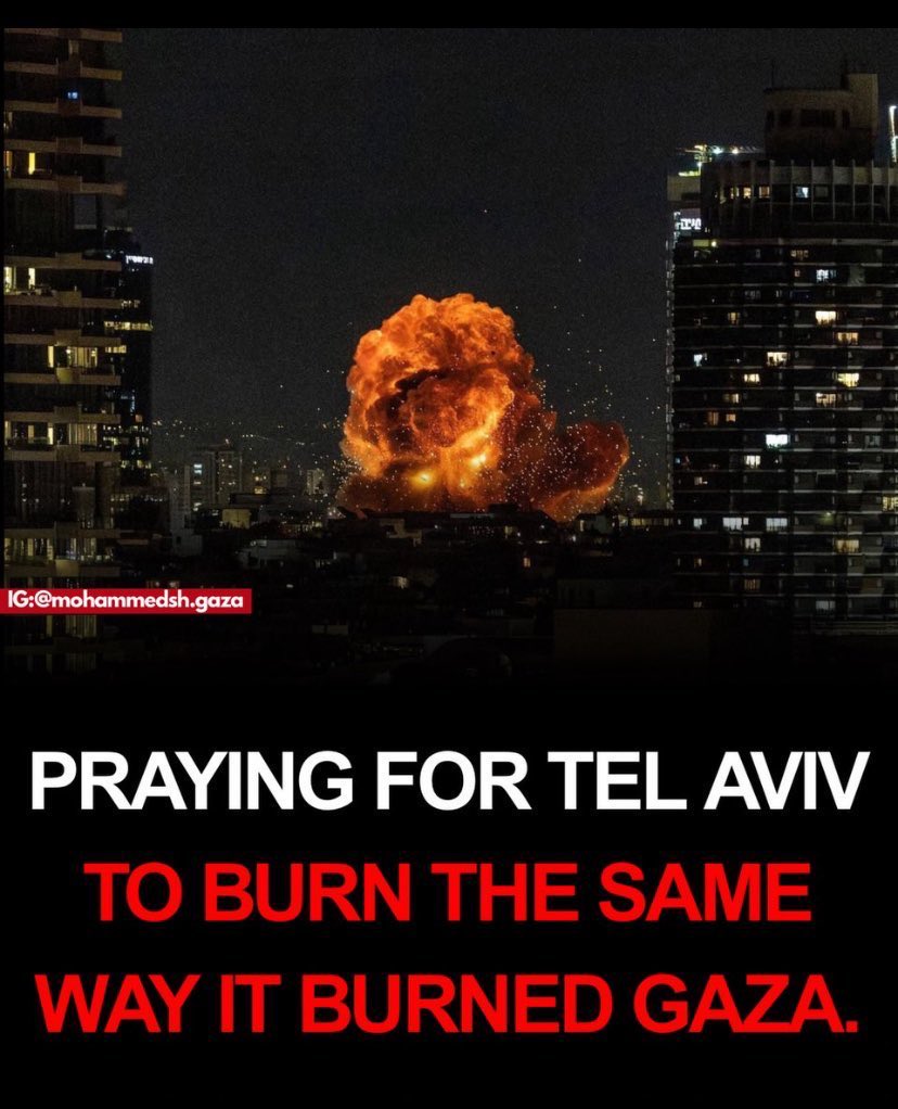 EmperorHadriandidnothingwrong tweet media