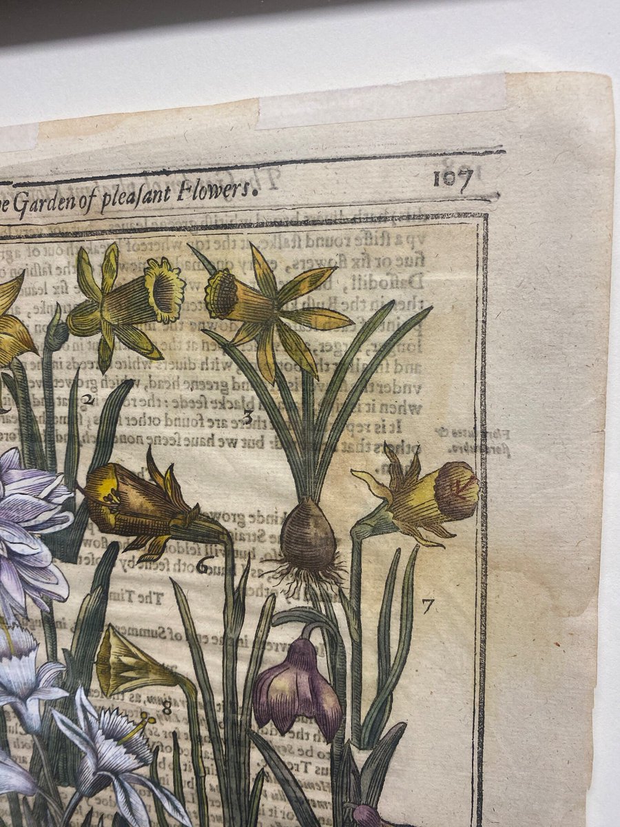 Derek (Del) Pickard tweet media