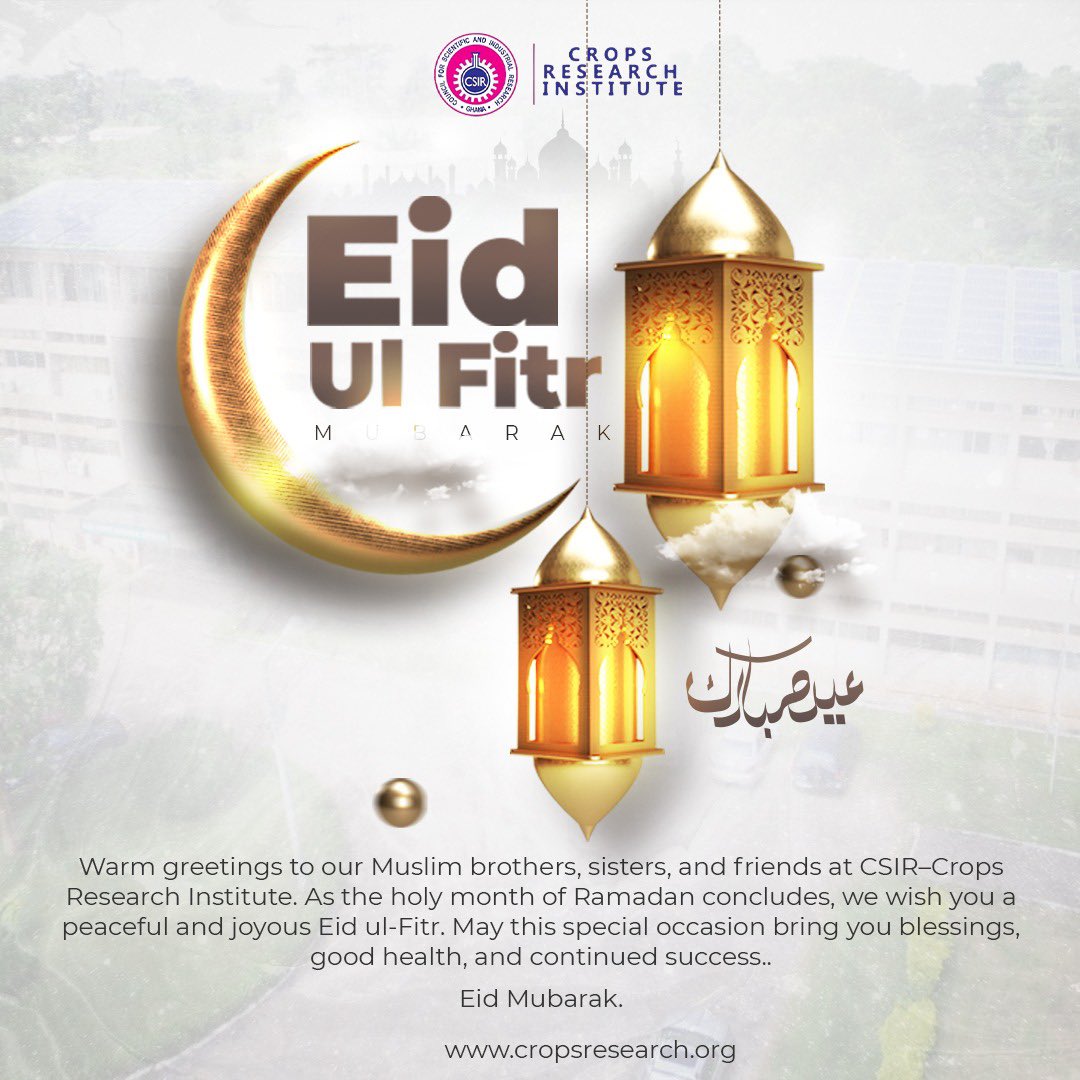 CSIR-Crops Research Institute tweet media