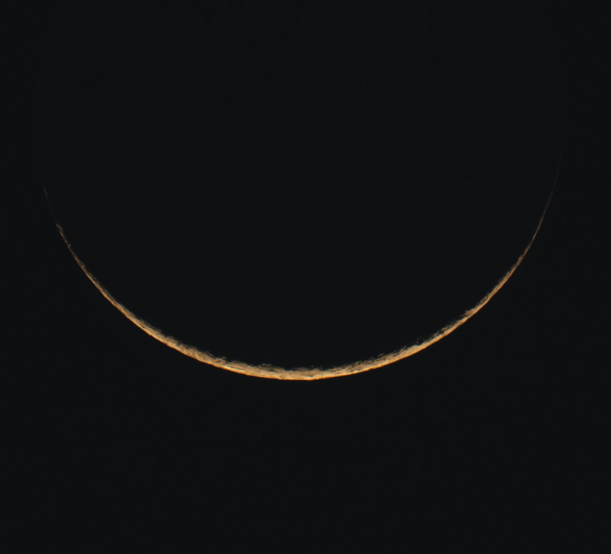 月世界への招待🌙🔭 tweet media