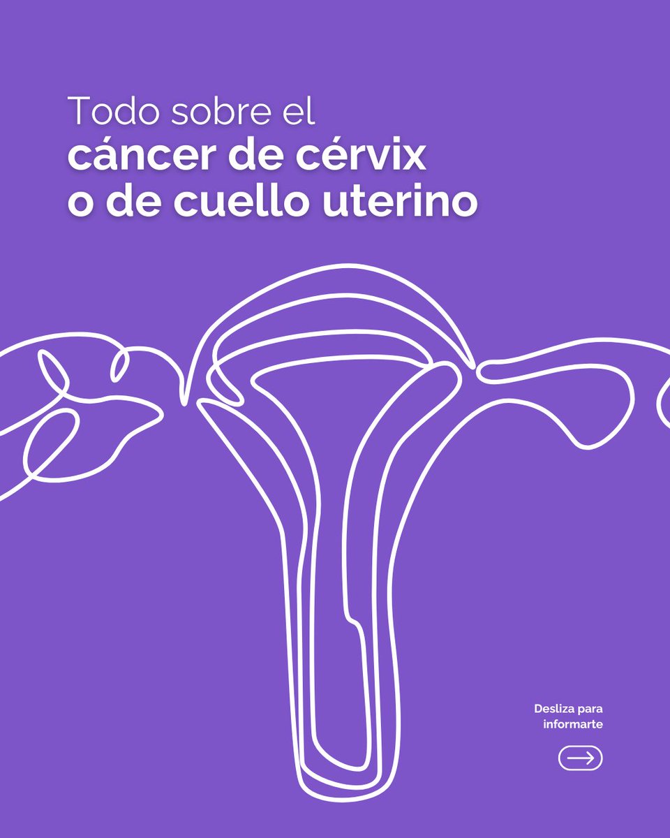 Asociación Contra el Cáncer BURGOS 💚 tweet media