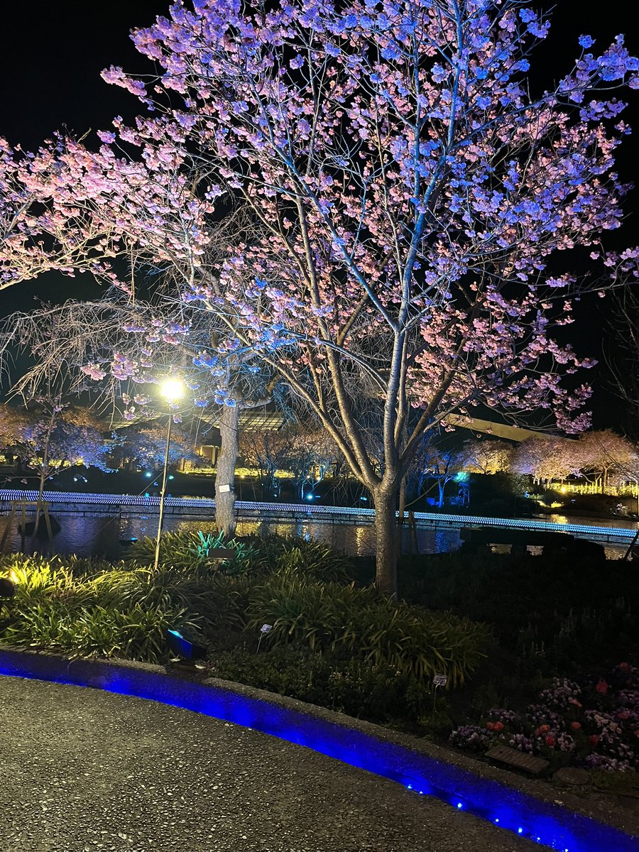 お風呂入りに来た