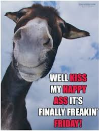 Caravans & Campers tweet media