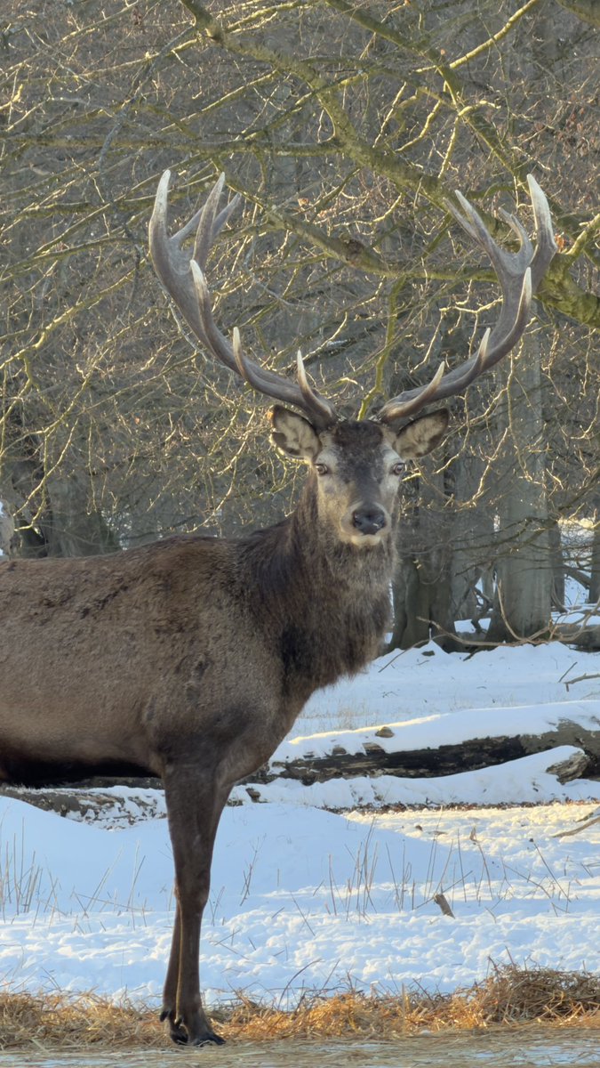 Nazmul Hashan 📸 tweet media