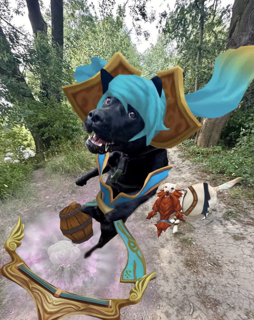 Sonacervo tweet media