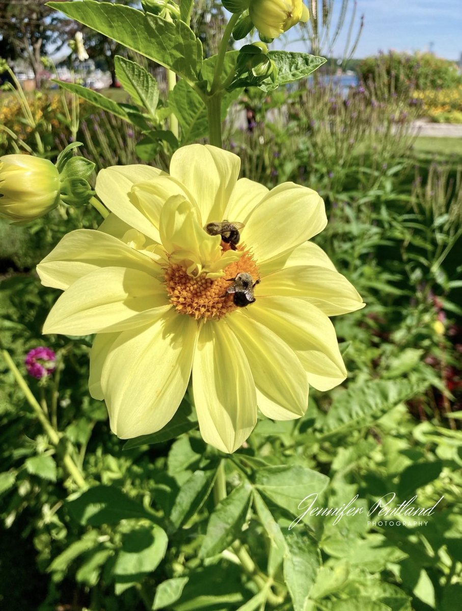 Jennifer tweet media