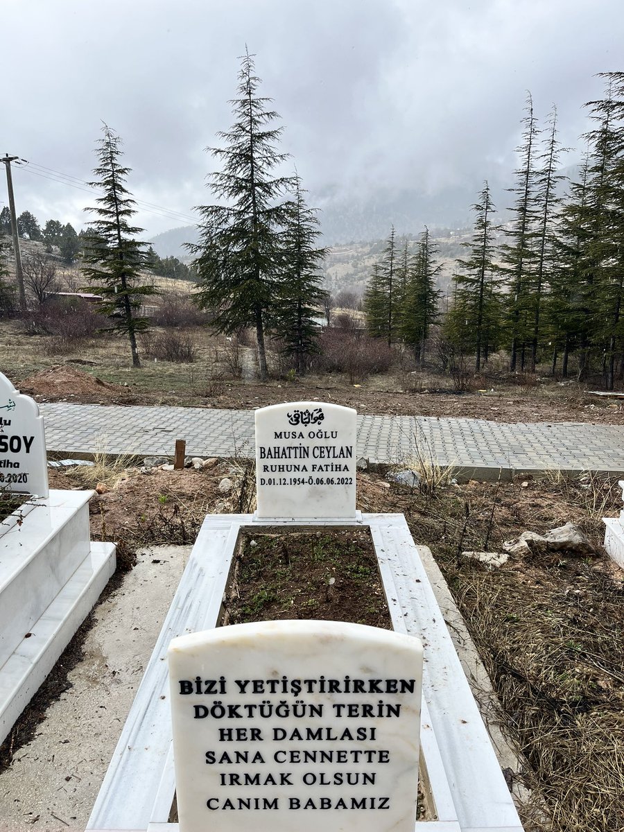 kostik🇷🇸 tweet media