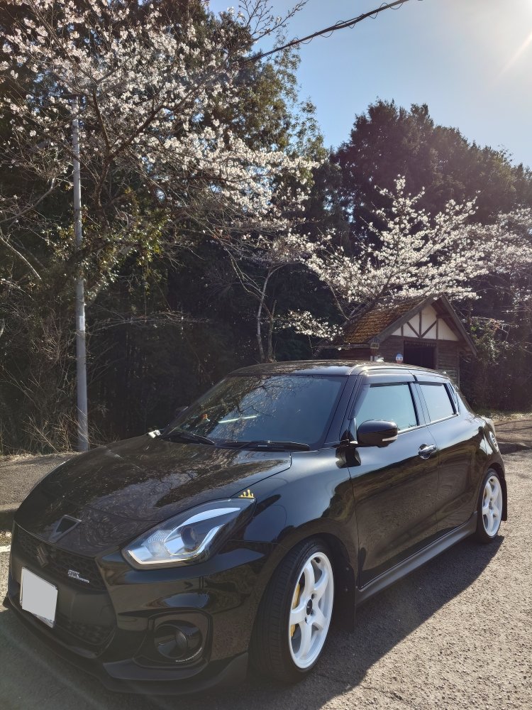 fiveten1010's tweet photo. 2日目の鹿児島では桜🌸が見れました! https://t.co/SUpNoma5mV
