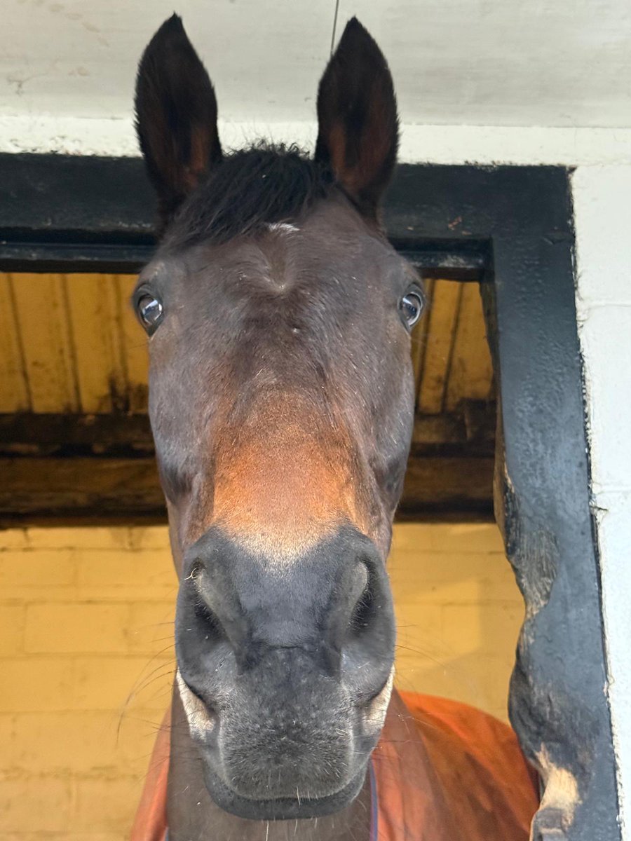 𝐊𝐞𝐫𝐫𝐲 𝐋𝐞𝐞 tweet media