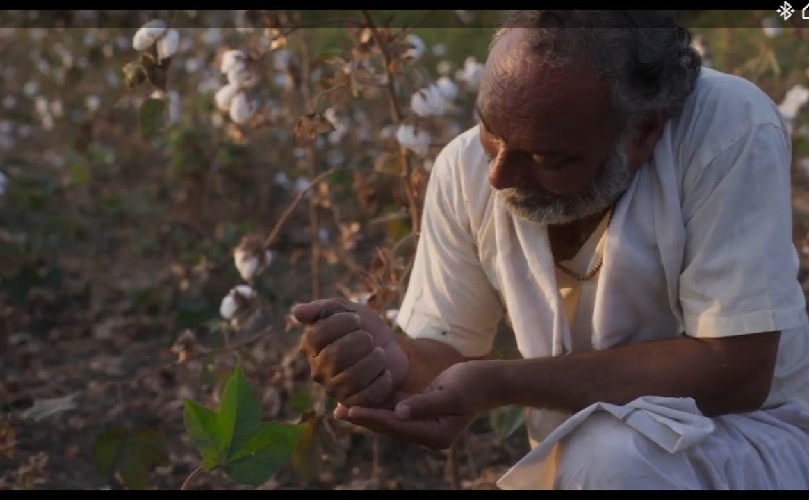 BlueLotusFemme😻 tweet media