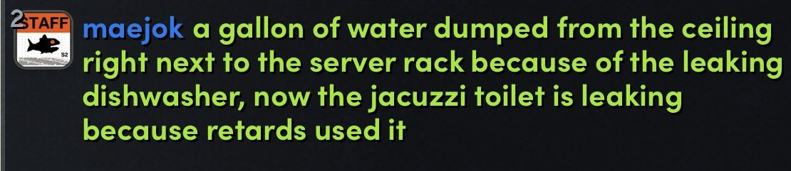 cat enjoyer tweet media