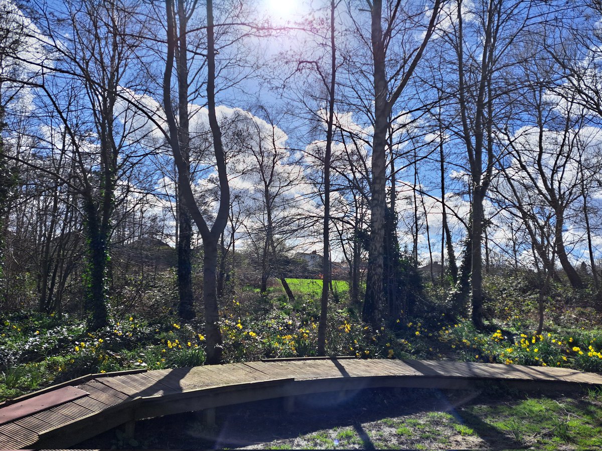 Gemma Walker tweet media