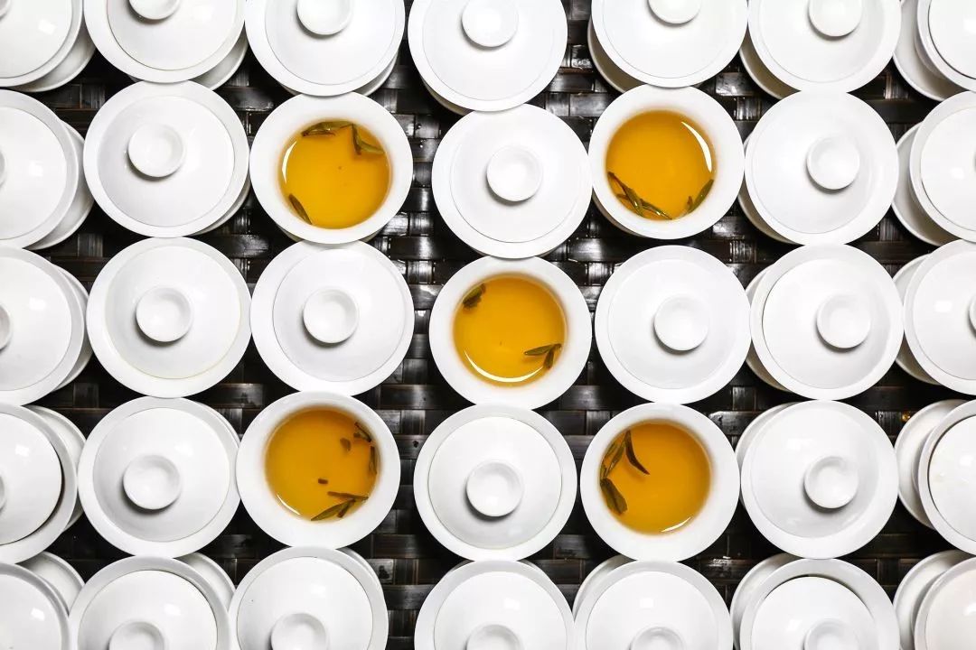 andrea pappalardo tweet media