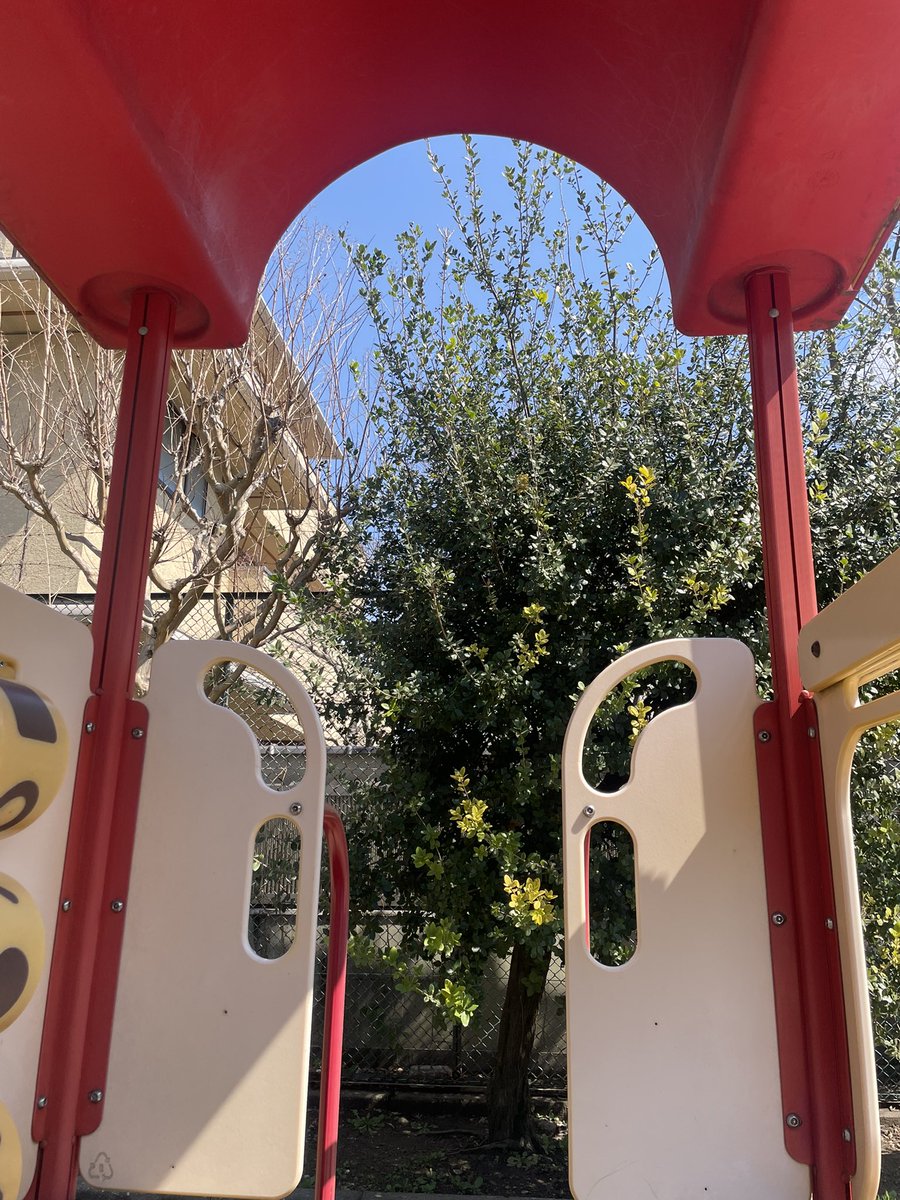 フロントエンドエンジニアのゆで卵 tweet media