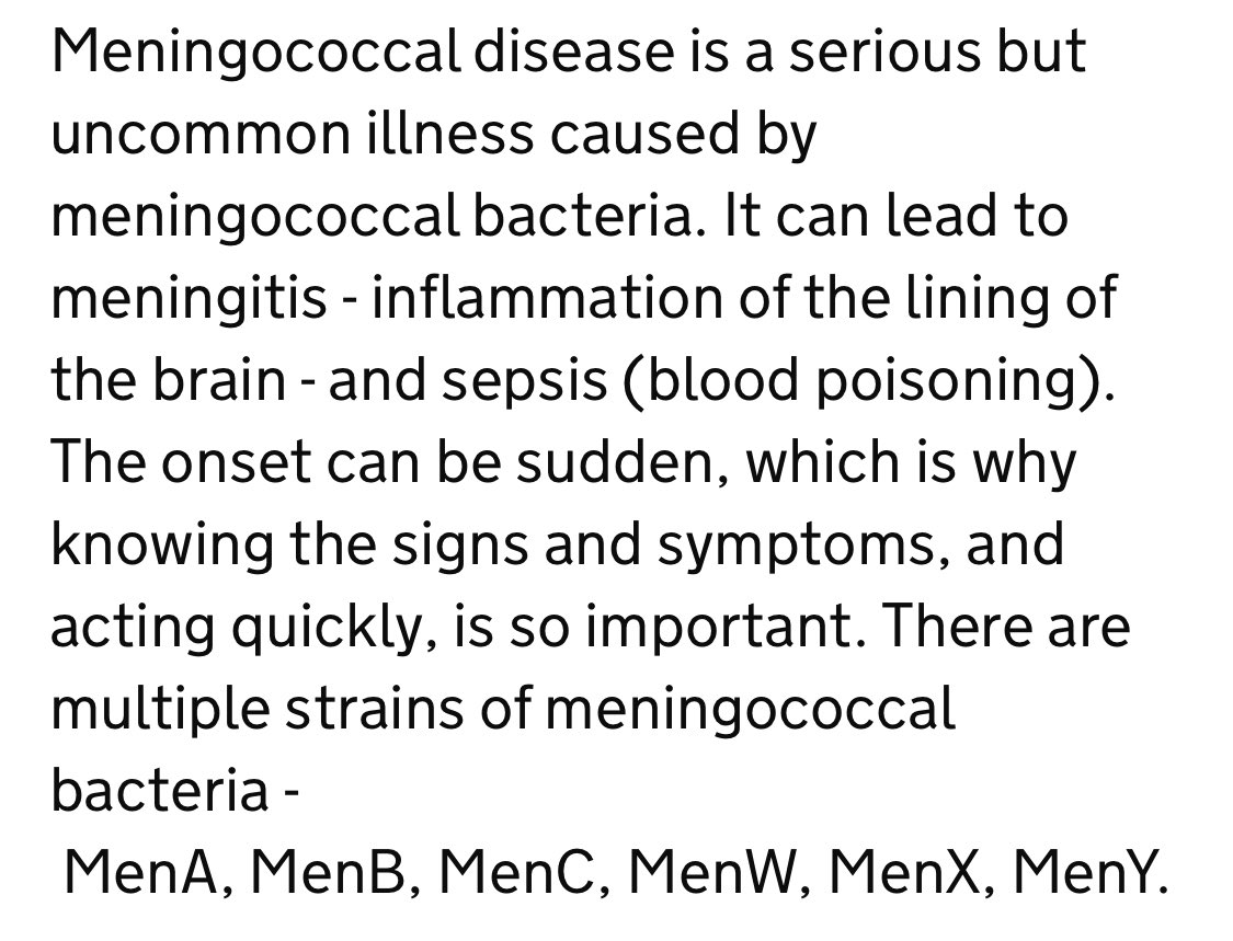 fagonetta tweet media