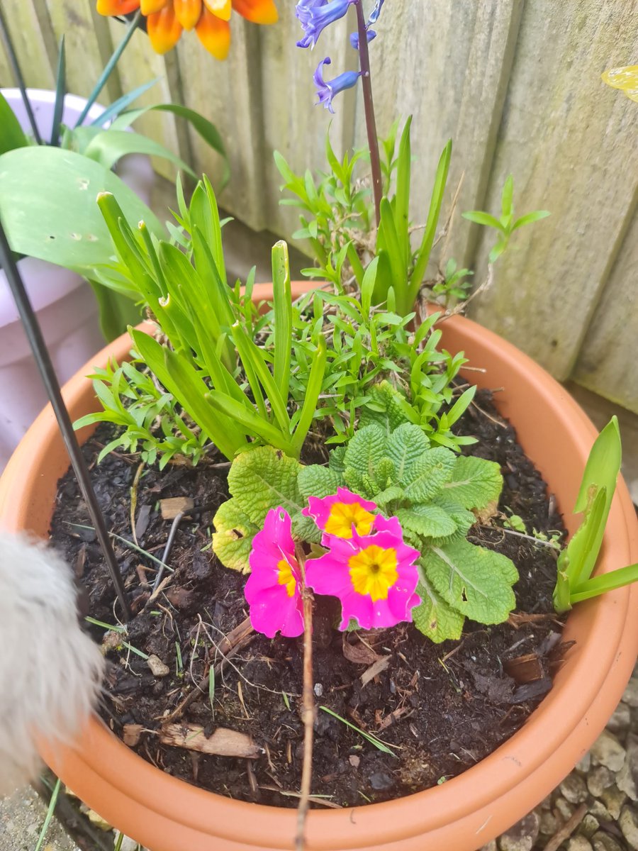 EmmaJane tweet media