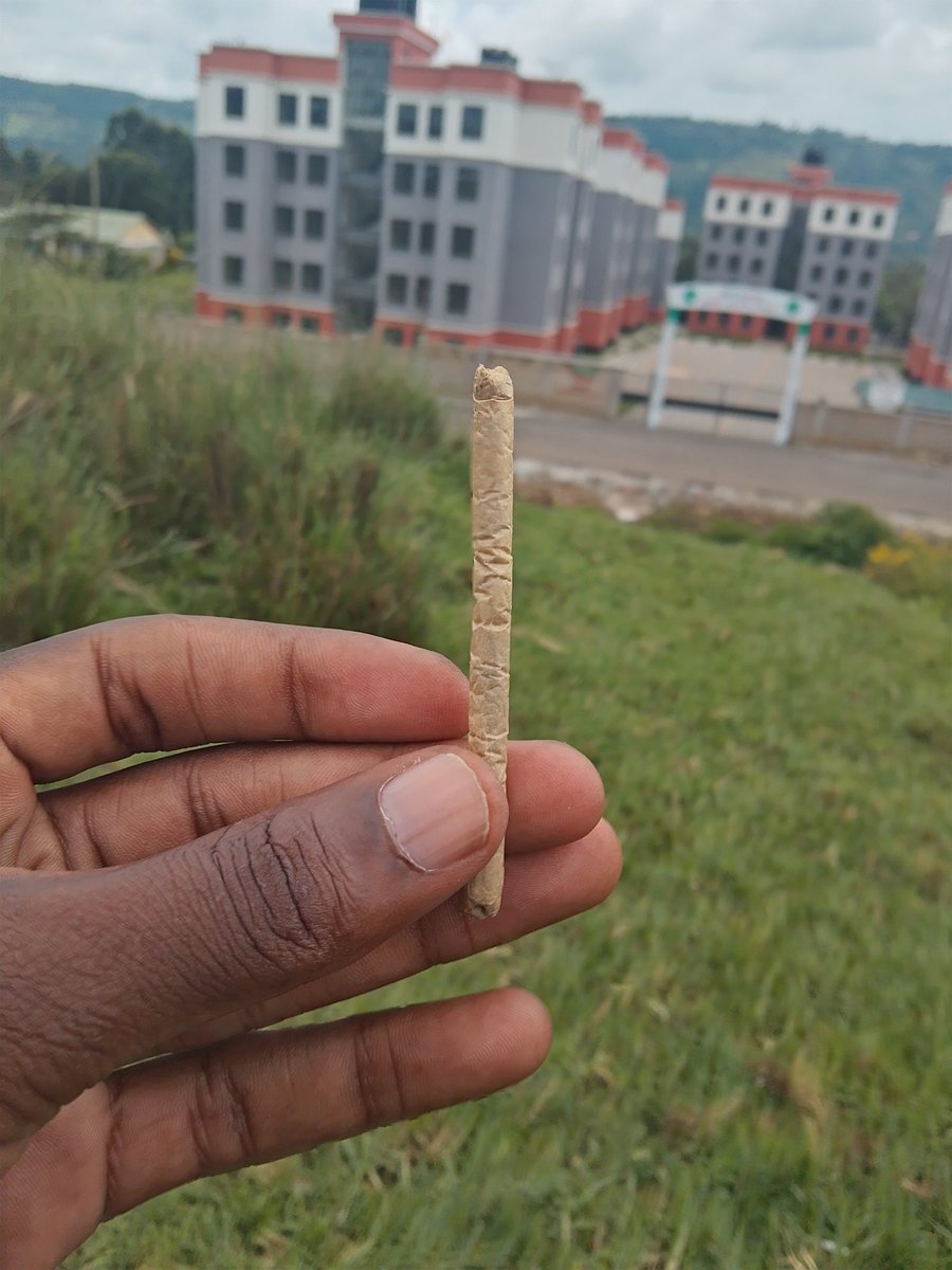 Chemusar tweet media