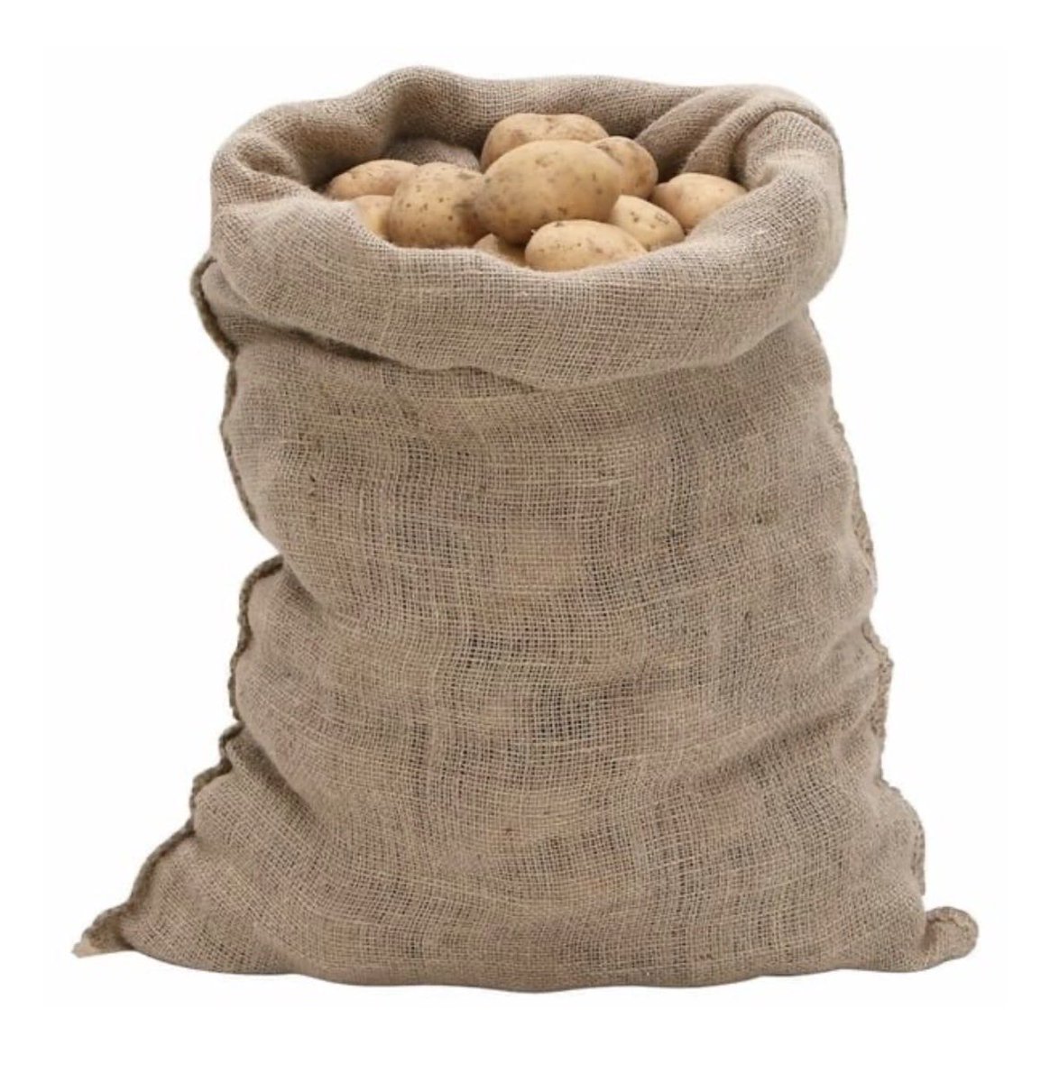 BUZZ ROTHFIELD tweet media