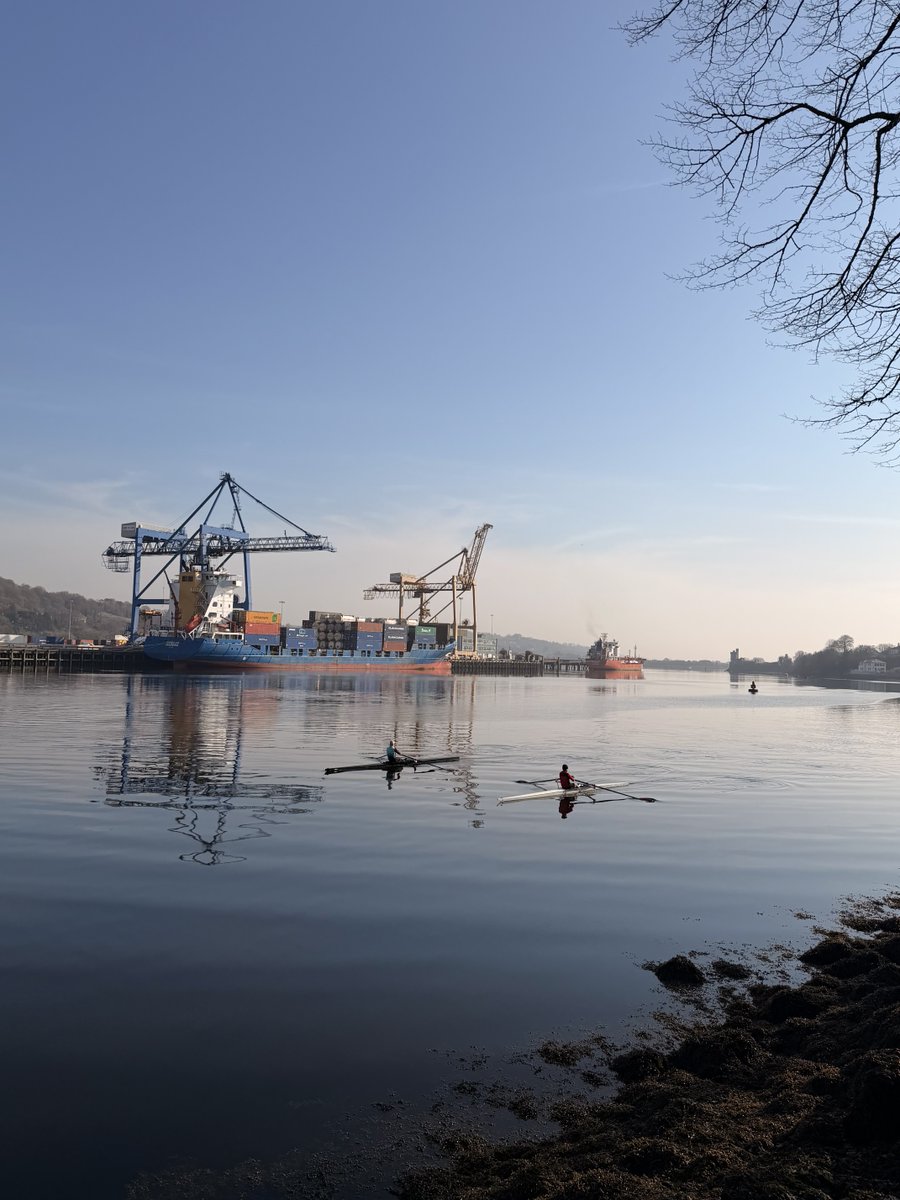 Fionnuala O’Herlihy tweet media