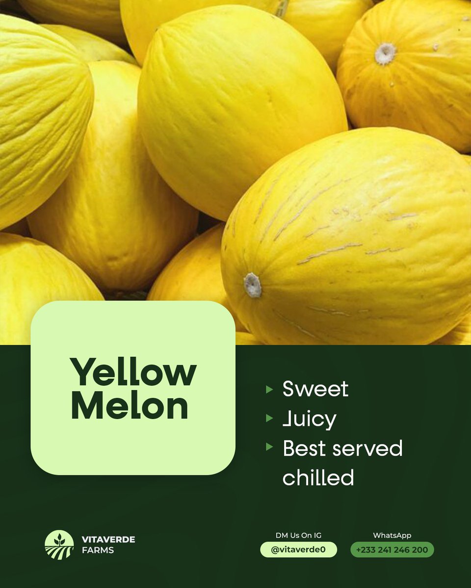 vitaverde0's tweet photo. Sweet, juicy yellow melon.
 Best enjoyed chilled and fresh.
Order via WhatsApp:
https://t.co/Bbpf3tqOLS
 #YellowMelon #FreshProduce #Accra #GhanaFood #VitaverdeFarms https://t.co/NPTCpkmFPo