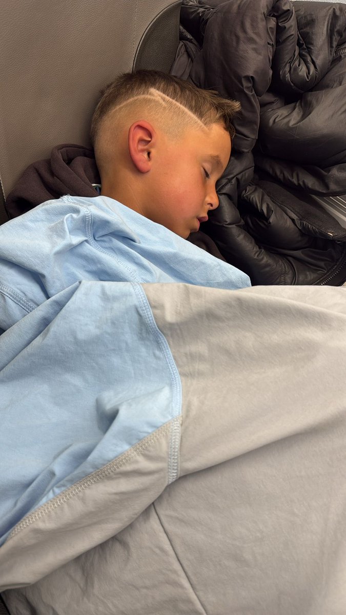 AnimarCeleste tweet media