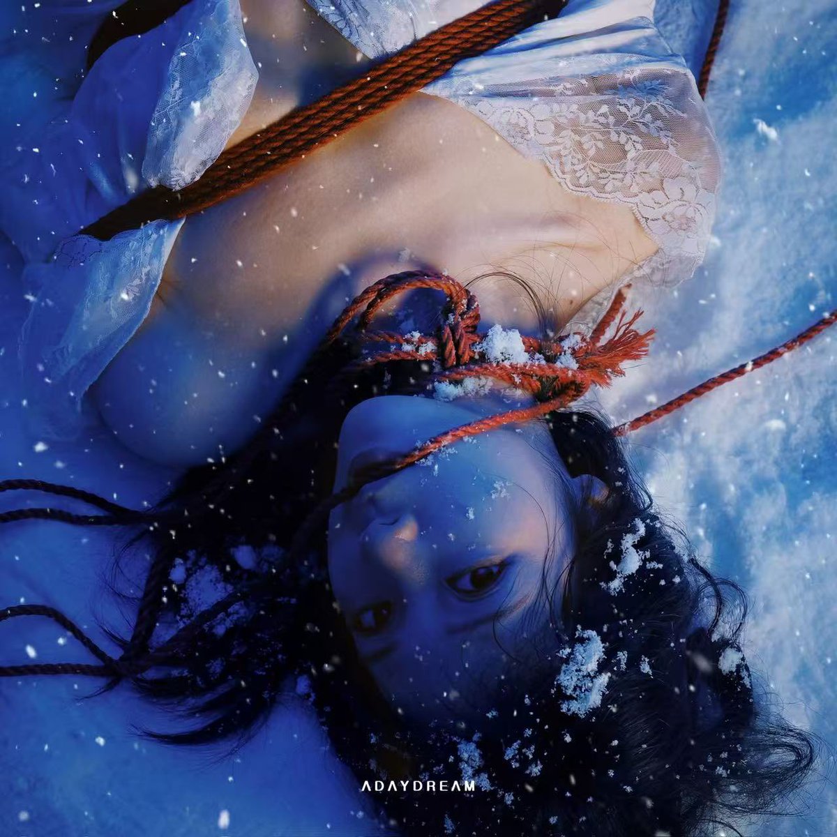 Adaydream tweet media