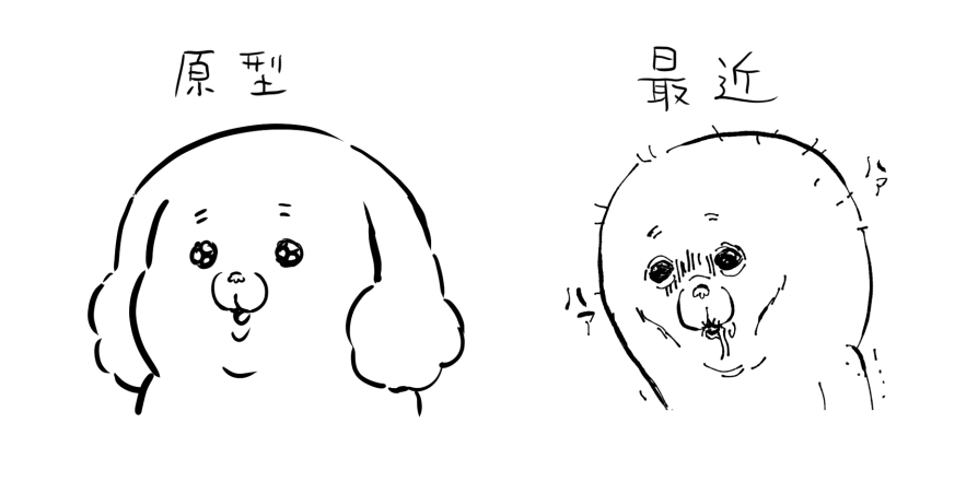 モフ缶 tweet media