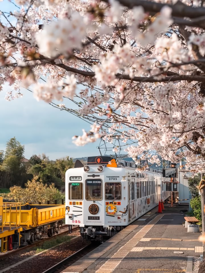 aesthetic tweet media