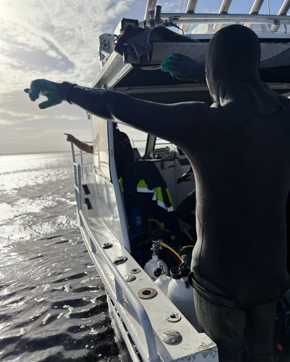 Group of Aquatic Macrophyte Ecology tweet media