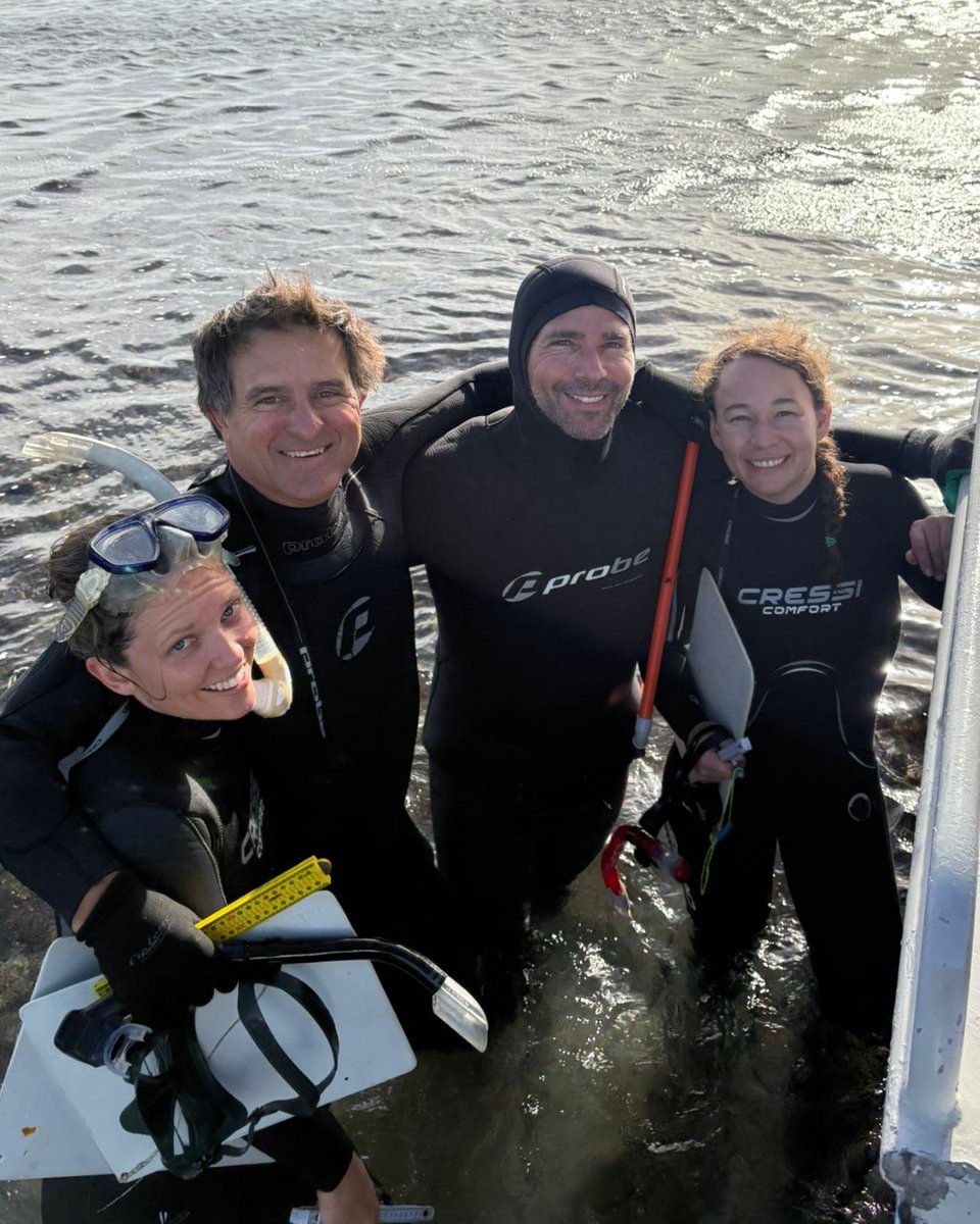 Group of Aquatic Macrophyte Ecology tweet media