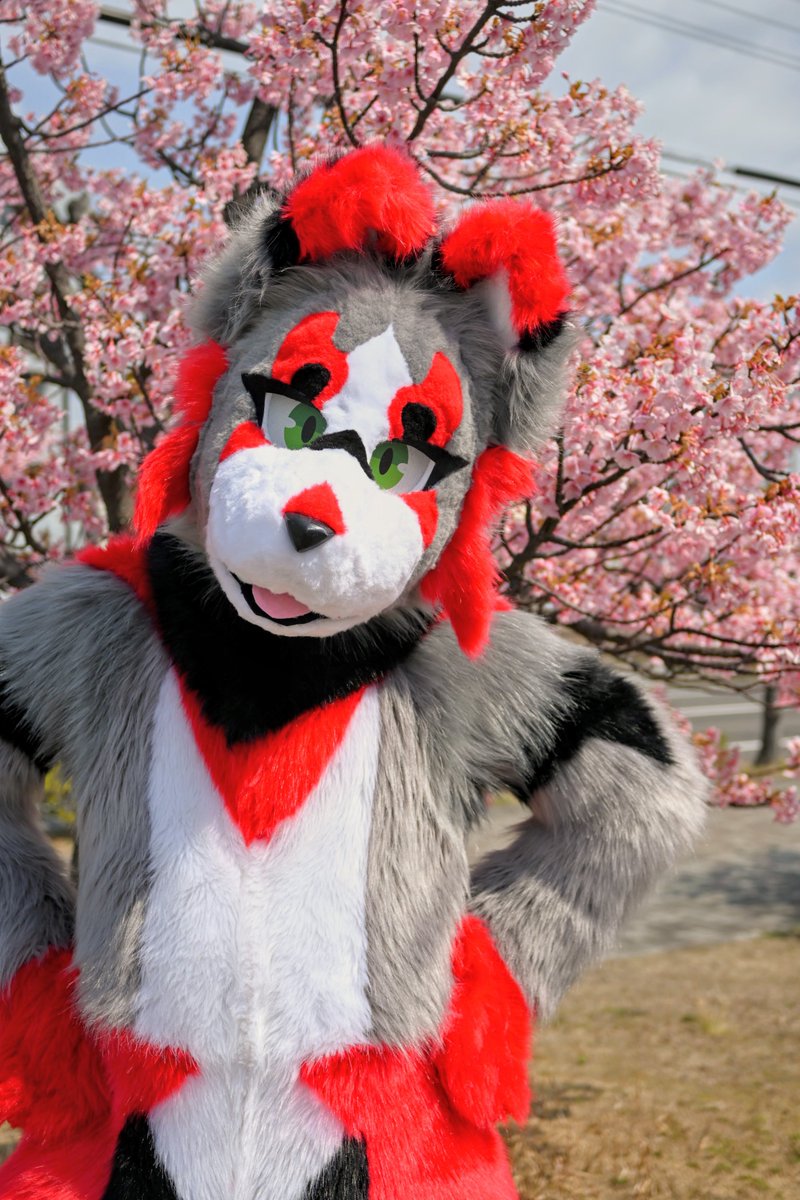 こまタロ@今年はがんばらない tweet media