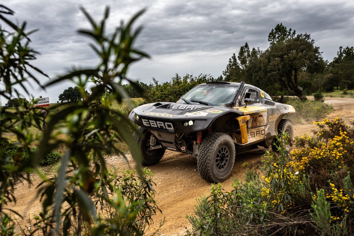 Mediagé Comunicación tweet media