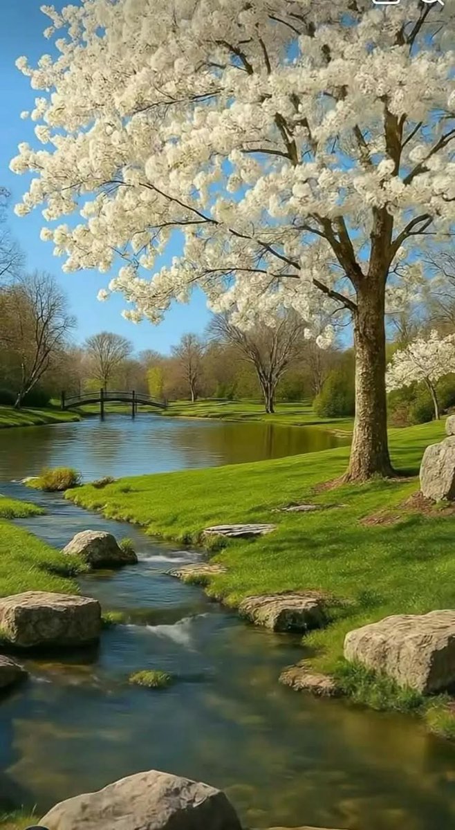 Sweet Nature (@sweet_nature1) on Twitter photo 