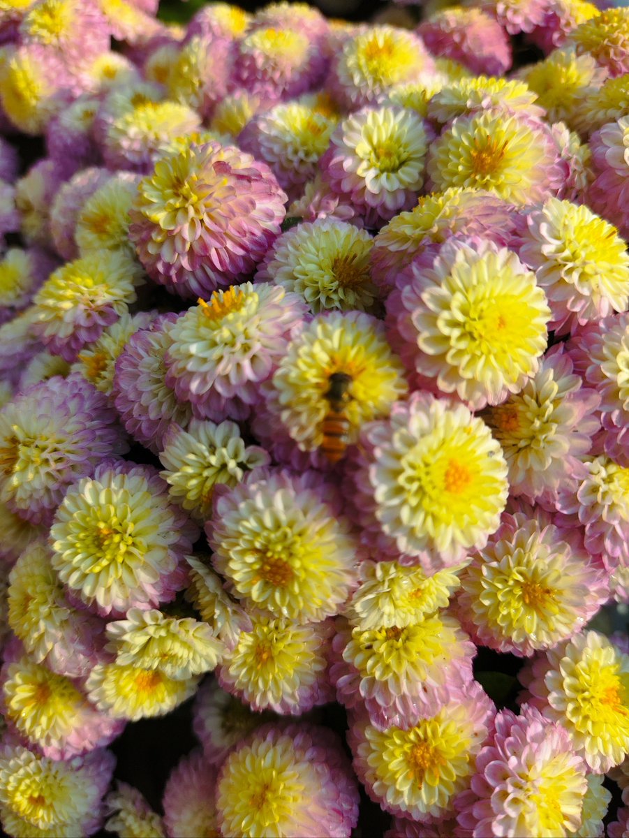 Alessandro Posch tweet media